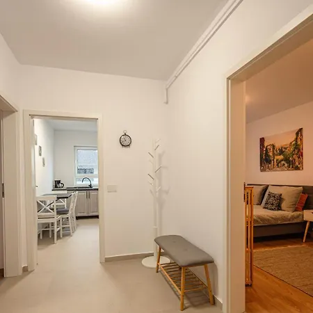 Apartment Brasha Brasov